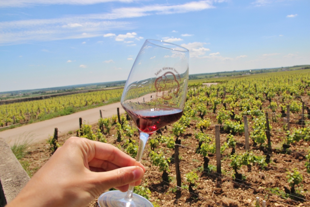 WineGlass